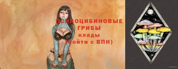 ПСИЛОЦИБИНОВЫЕ ГРИБЫ Покров