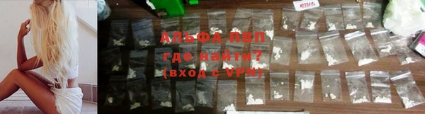 ПСИЛОЦИБИНОВЫЕ ГРИБЫ Покров