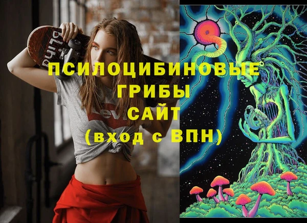 мяу мяу мука Алексин